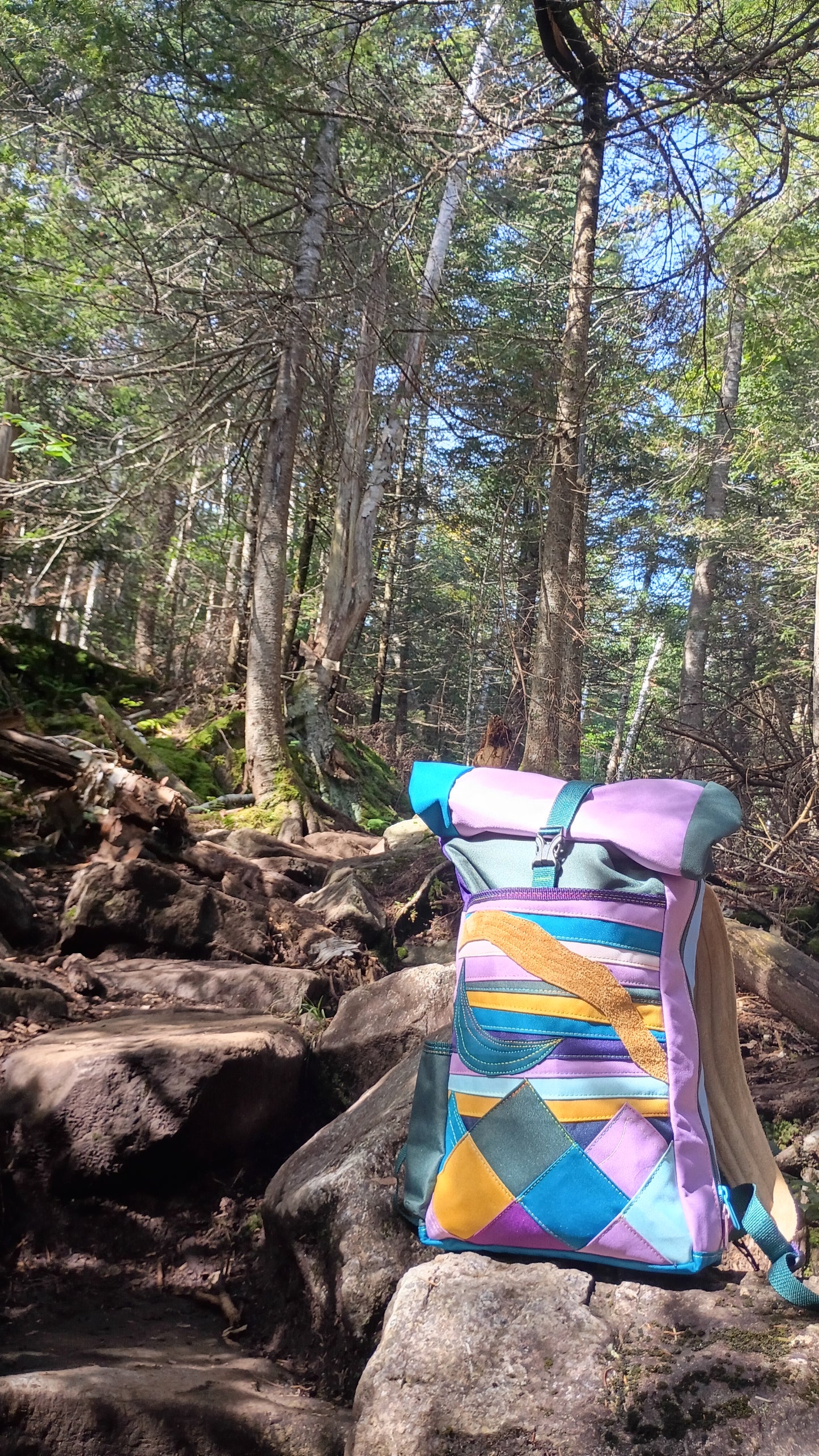 Roll Top Backpack